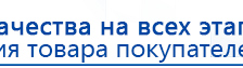 СКЭНАР-1-НТ (исполнение 01)  купить в Бирске, Аппараты Скэнар купить в Бирске, Дэнас официальный сайт denasolm.ru